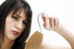 درمان ريزش مو با تخم شنبليله - ريزش مو در خانم ها